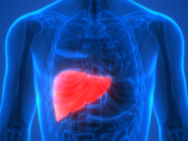 Liver Inflammation