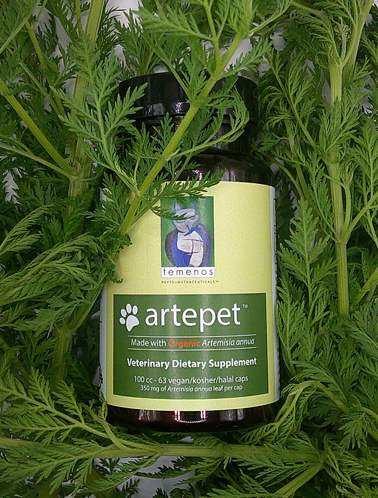 Artepet™ – 63ct